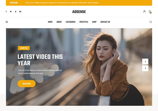 Adsense Friendly WordPress Theme