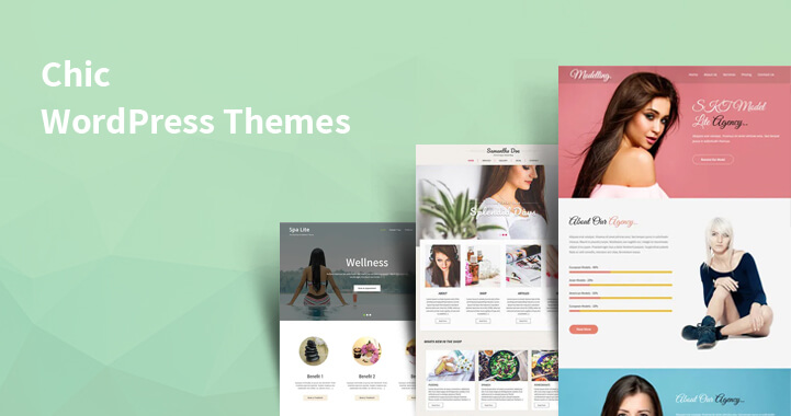 15+ Free Chic WordPress Themes for Stunning Website Designs