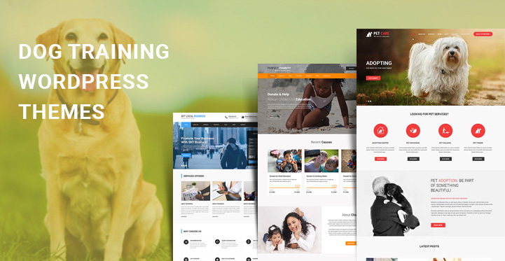 11 Dog Training WordPress Themes for Canine Training and Trainers Websites