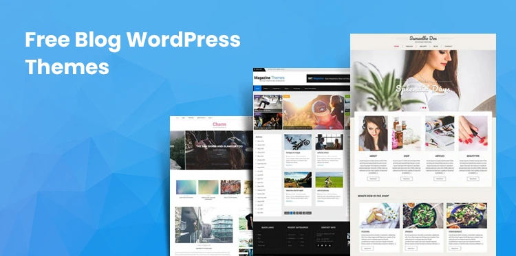 13 Best Free WordPress Blog Templates for Blogger